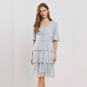 Alexa B Nites Silver Metallic Crinkle Chiffon Party Dress